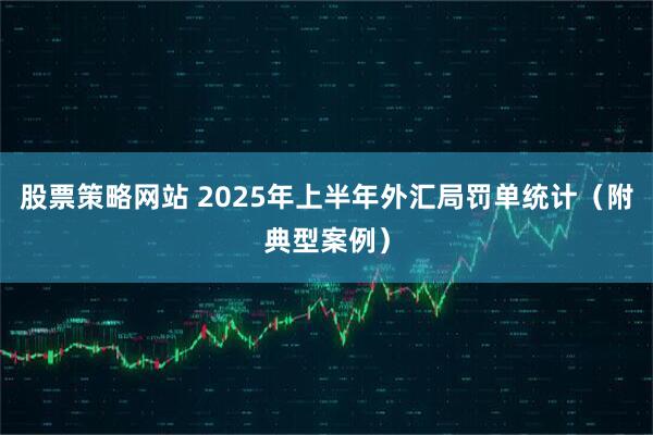 股票策略网站 2025年上半年外汇局罚单统计（附典型案例）