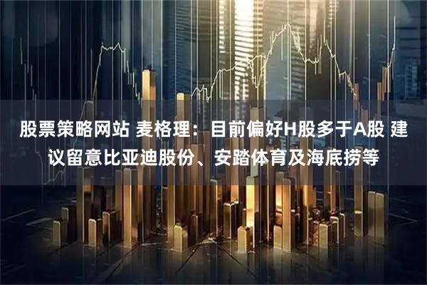 股票策略网站 麦格理：目前偏好H股多于A股 建议留意比亚迪股份、安踏体育及海底捞等