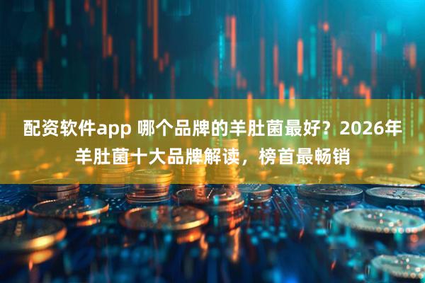 配资软件app 哪个品牌的羊肚菌最好？2026年羊肚菌十大品牌解读，榜首最畅销