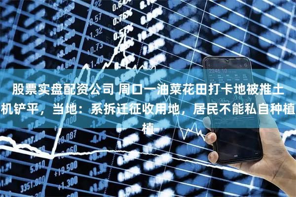 股票实盘配资公司 周口一油菜花田打卡地被推土机铲平，当地：系拆迁征收用地，居民不能私自种植